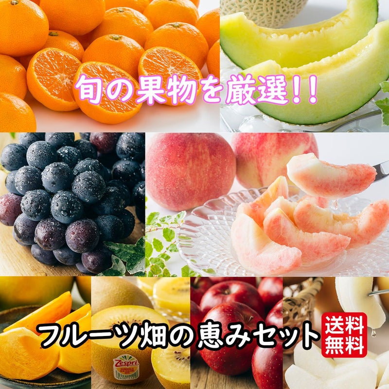 フルーツ畑の恵みセット≪旬の果物を２～５種類詰合せ≫【送料無料】