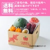 フルーツ畑の恵みセット≪旬の果物を２～５種類詰合せ≫【送料無料】