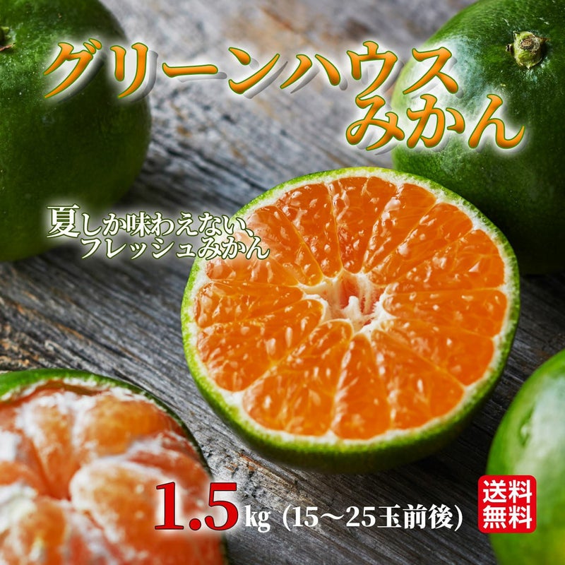 完熟　グリーンハウスみかん　約1.5kg（15～25玉入り ）【送料無料】
