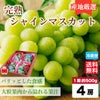 ≪化粧箱入≫完熟　シャインマスカット　４房（１房：約500ｇ） 【送料無料】