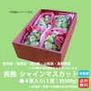 ≪化粧箱入≫完熟　シャインマスカット　４房（１房：約500ｇ） 【送料無料】