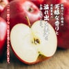  完熟りんご サンつがる 約2.5kg（7～10玉入／1玉250～350ｇ）【送料無料】