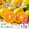 一番出荷　温州みかん（極早生） 約3kg（25～50玉前後 L～２Sサイズ）【送料無料】