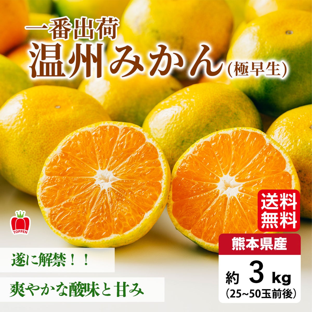 一番出荷　温州みかん（極早生） 約3kg（25～50玉前後 L～２Sサイズ）【送料無料】
