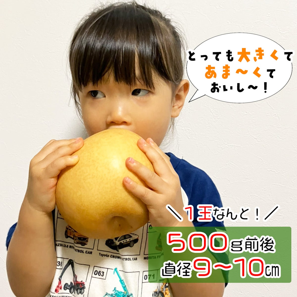 熊本県産 完熟 新高梨　約2.5kg（4～6玉）【送料無料】