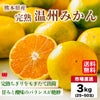 完熟　温州みかん 約3kg（25～50玉入り L～2Sサイズ）【送料無料】