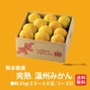 完熟　温州みかん 約3kg（25～50玉入り L～2Sサイズ）【送料無料】