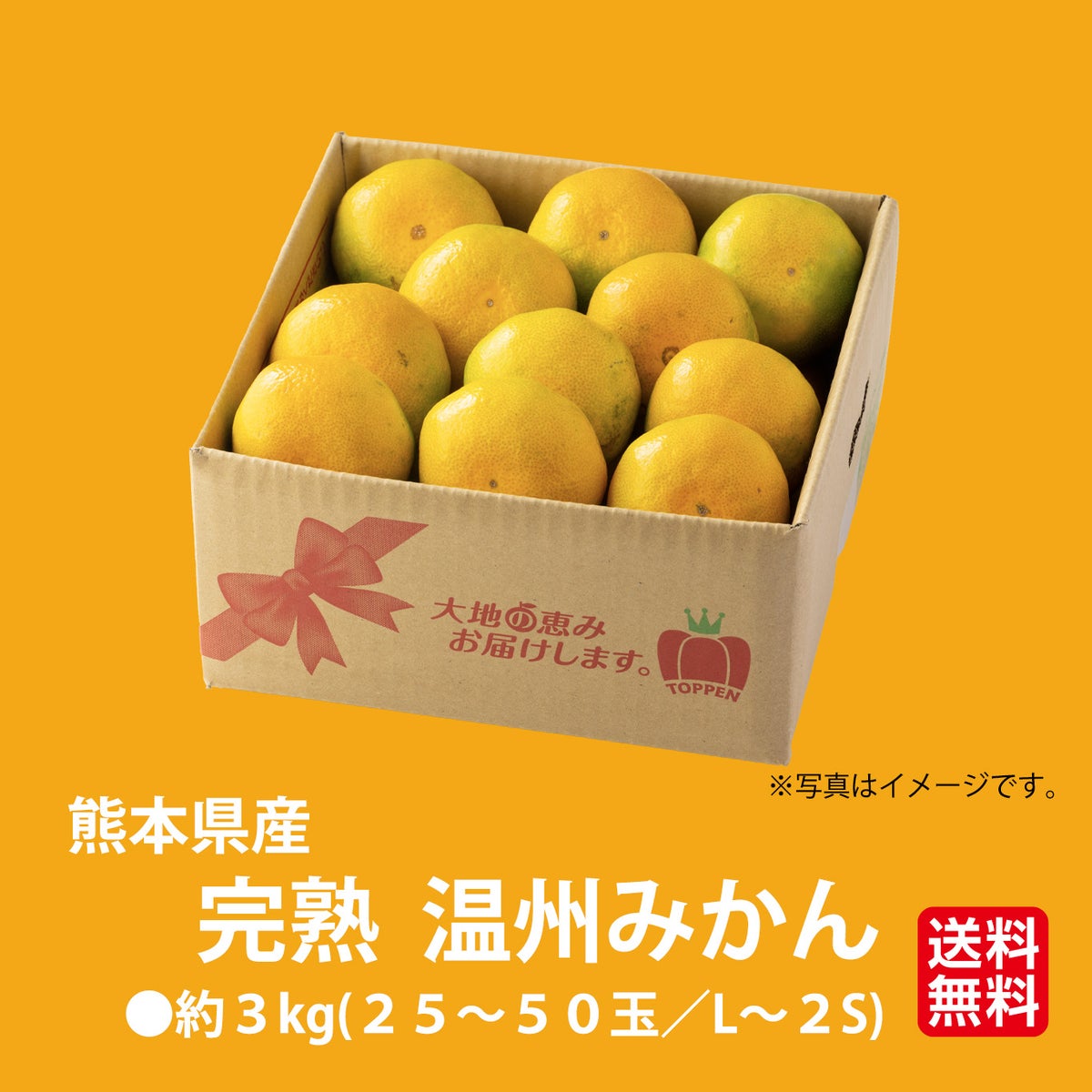 完熟　温州みかん 約3kg（25～50玉入り L～2Sサイズ）【送料無料】