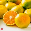 完熟　温州みかん 約3kg（25～50玉入り L～2Sサイズ）【送料無料】