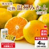 完熟　温州みかん　約４kg（３０～４0玉入り 中玉玉揃え）【送料無料】