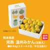 完熟　温州みかん　約４kg（３０～４0玉入り 中玉玉揃え）【送料無料】