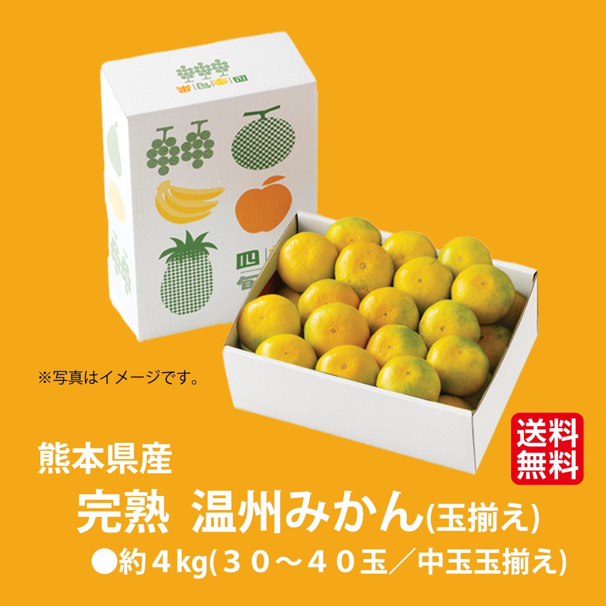 完熟　温州みかん　約４kg（３０～４0玉入り 中玉玉揃え）【送料無料】