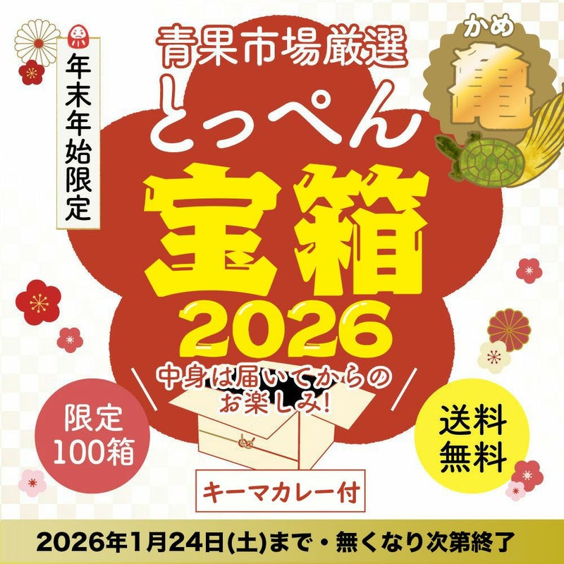 ≪限定100箱≫とっぺん宝箱2026　亀【送料無料】