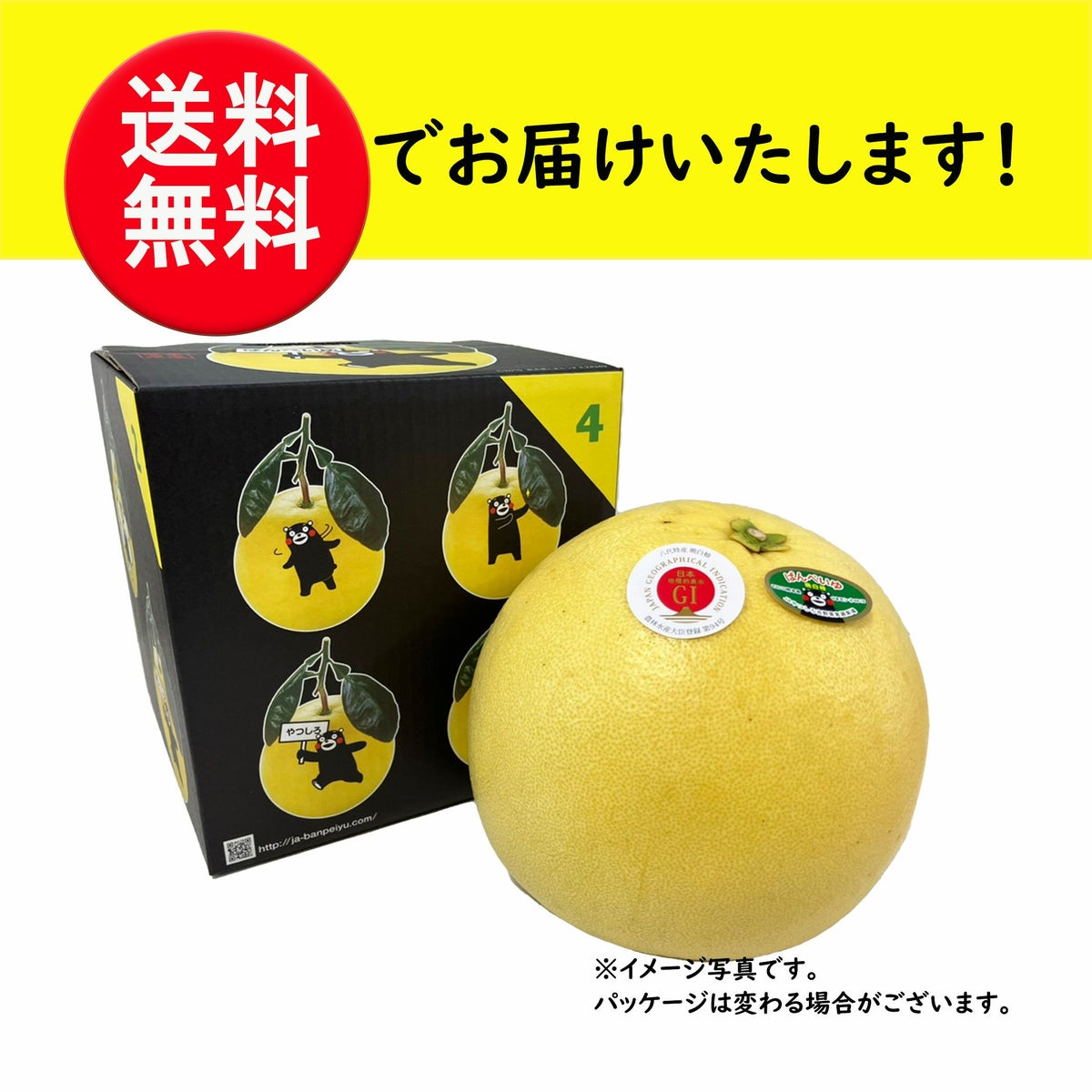 熊本県産　ハウス栽培　晩白柚　1玉入【送料無料】