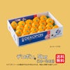 デコポン（市場箱） 約5kg（18～24玉）【送料無料】