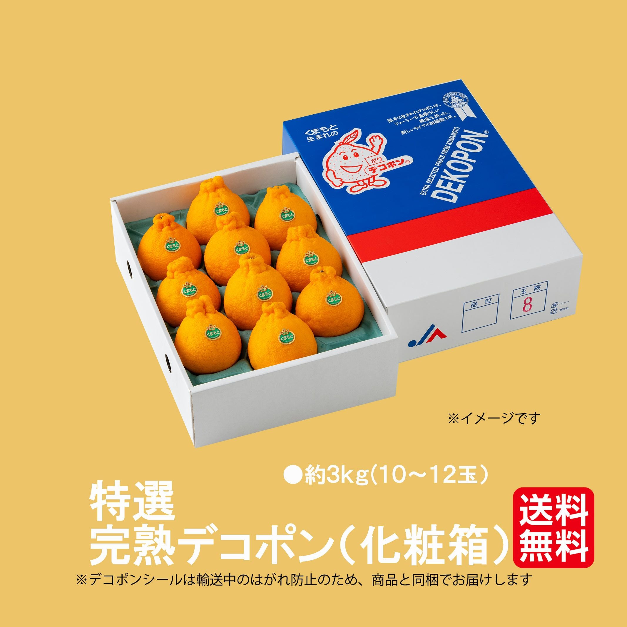 極味シリーズ】《特選》 デコポン（化粧箱） 約3kg（10～12玉