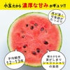 少人数家族にもおすすめ！熊本産 小玉すいか 1玉【送料無料】