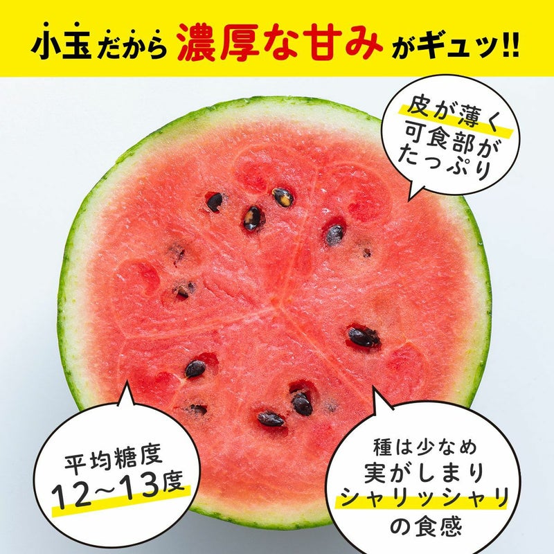 少人数家族にもおすすめ！熊本産 小玉すいか 1玉【送料無料】 - とっ 