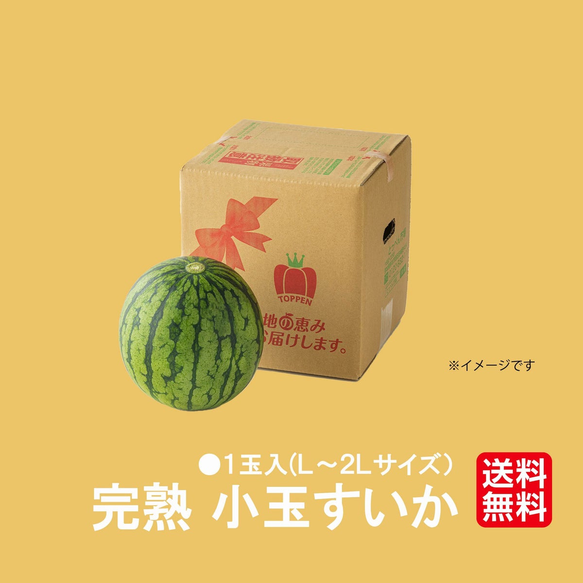少人数家族にもおすすめ！熊本産 小玉すいか 1玉【送料無料】