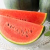 少人数家族にもおすすめ！熊本産 小玉すいか 1玉【送料無料】