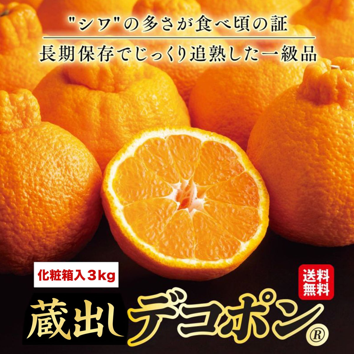 長期熟成　蔵熟玉揃いデコポン 約３kg（10～15玉入り ）【送料無料】