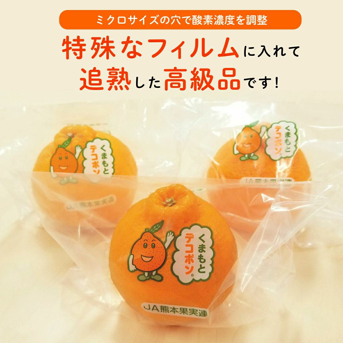 長期熟成 蔵出し玉揃いデコポン 約3kg（10～15玉入り ）【送料無料
