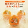 長期熟成　蔵熟玉揃いデコポン 約３kg（10～15玉入り ）【送料無料】