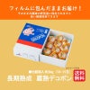 長期熟成　蔵熟玉揃いデコポン 約３kg（10～15玉入り ）【送料無料】