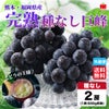 完熟　種なし巨峰　２房（１房：500ｇ前後） 【送料無料】