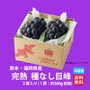 完熟　種なし巨峰　２房（１房：500ｇ前後） 【送料無料】