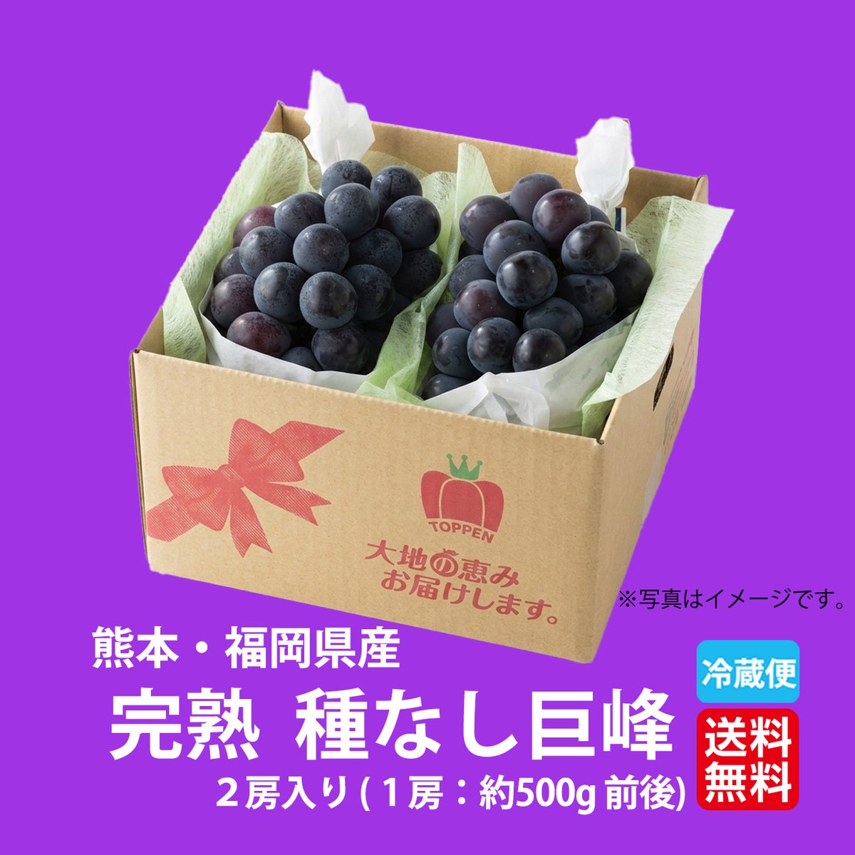 完熟　種なし巨峰　２房（１房：500ｇ前後） 【送料無料】