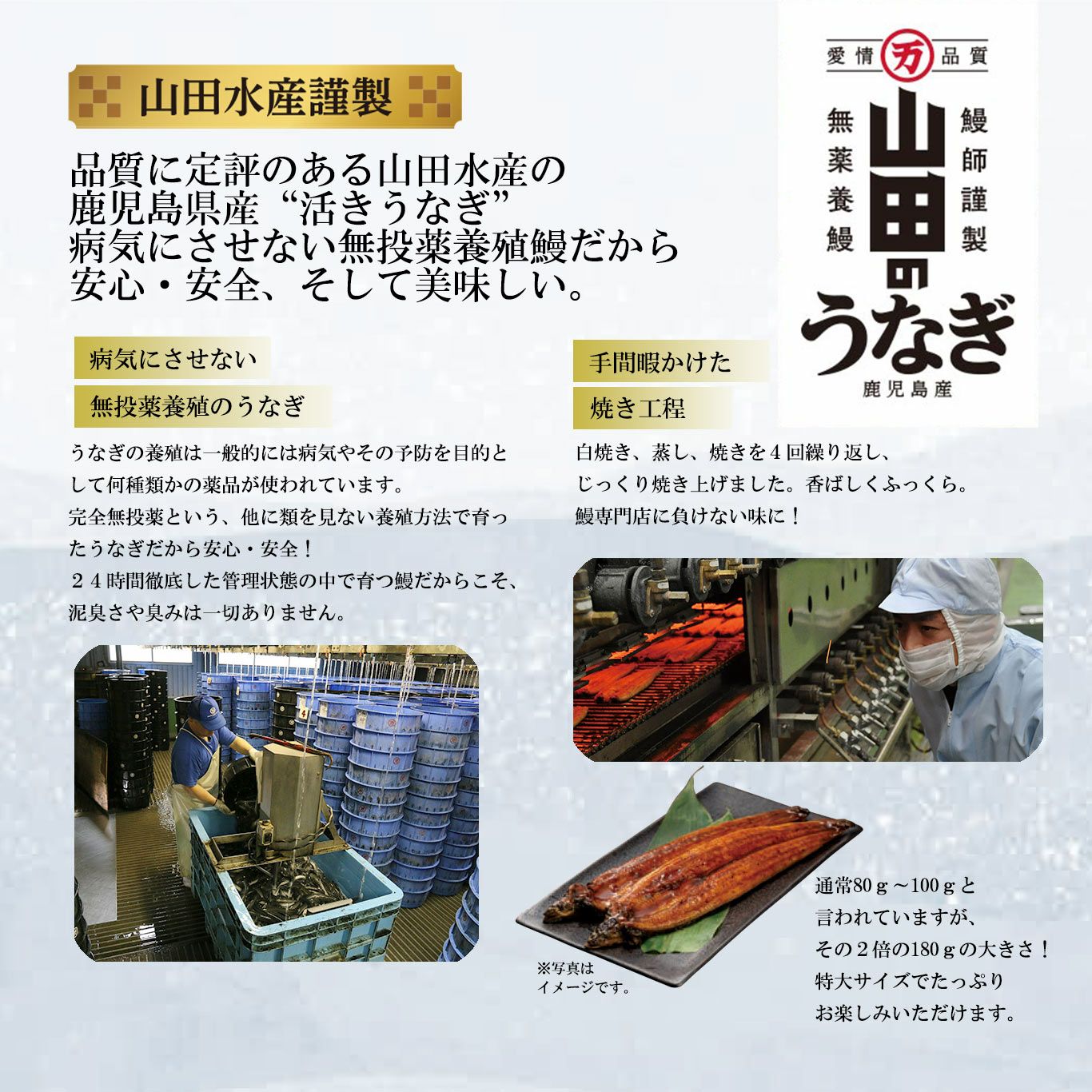 山田水産謹製 鹿児島高級 無投薬美味うなぎ （特大約180g×2尾入り