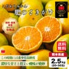 ≪とっぺん極味シリーズ≫こだわりみかん「肥のさきがけ」（中玉） 約3kg（20～30玉入 Ｌ・Mサイズ）【送料無料】