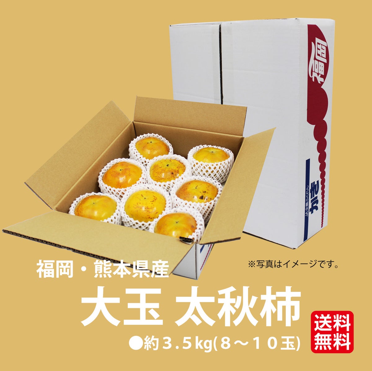 極味シリーズ　大玉太秋柿　約3.5ｋｇ（７～８玉）【送料無料】