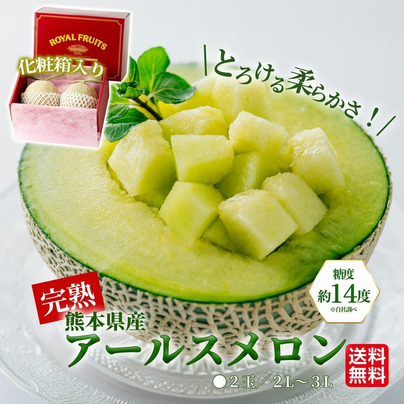 熊本県産　完熟　アールスメロン 2玉（２L～４L） 【送料無料】