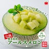 熊本県産　完熟　アールスメロン 2玉（２L～４L） 【送料無料】
