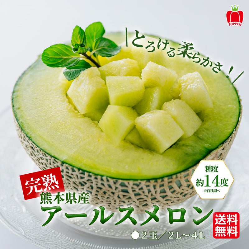 熊本県産　完熟　アールスメロン 2玉（２L～４L） 【送料無料】