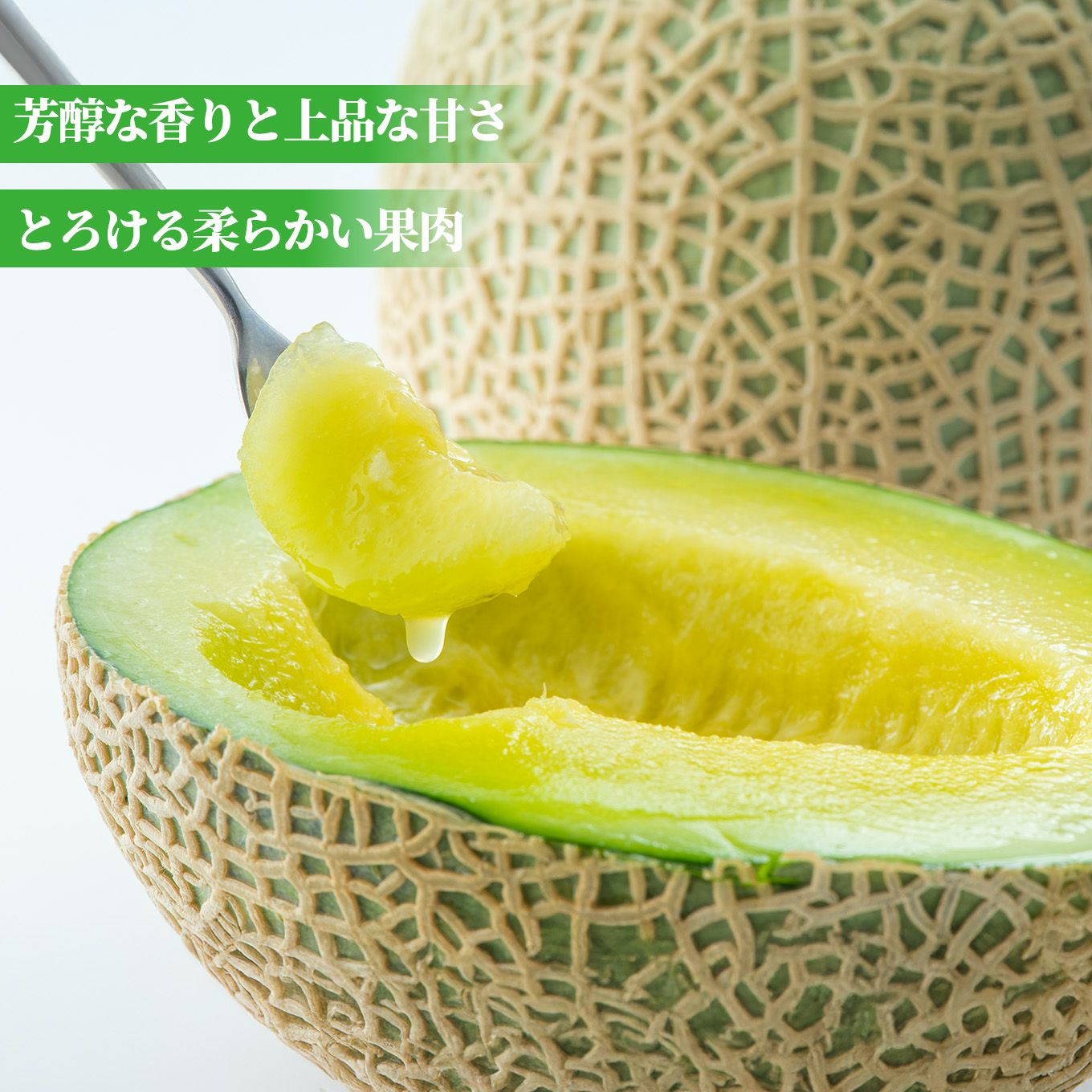 熊本県産 完熟 アールスメロン 2玉（2L～4L） 【送料無料】 - とっ