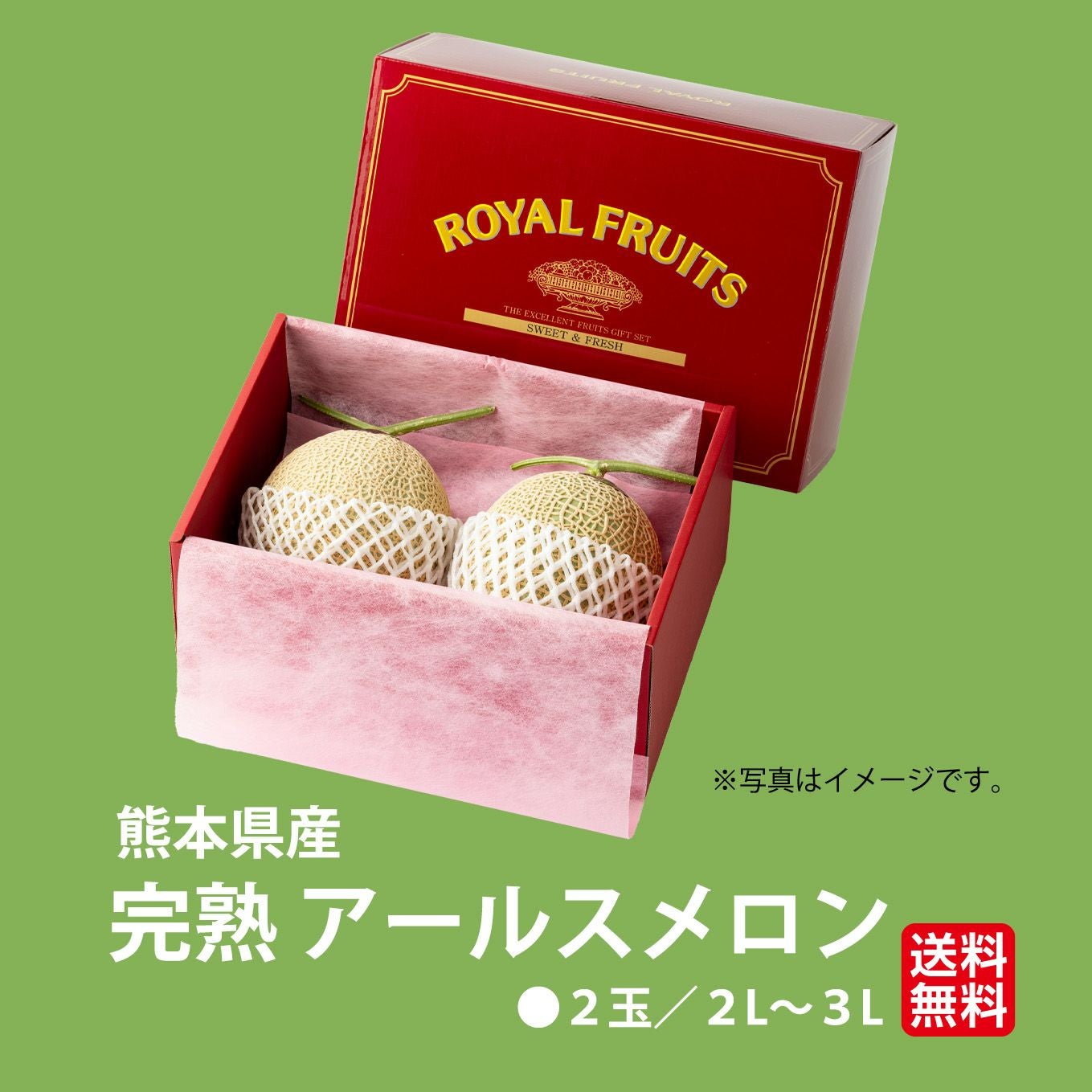 化粧箱入り》熊本県産 完熟 アールスメロン 2玉（2L～3L） 【送料