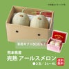 熊本県産　完熟　アールスメロン 2玉（２L～４L） 【送料無料】