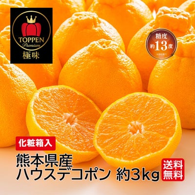 ≪極味ブランド≫熊本県産　完熟ハウスデコポン　約3kg（7～10玉前後）【送料無料】
