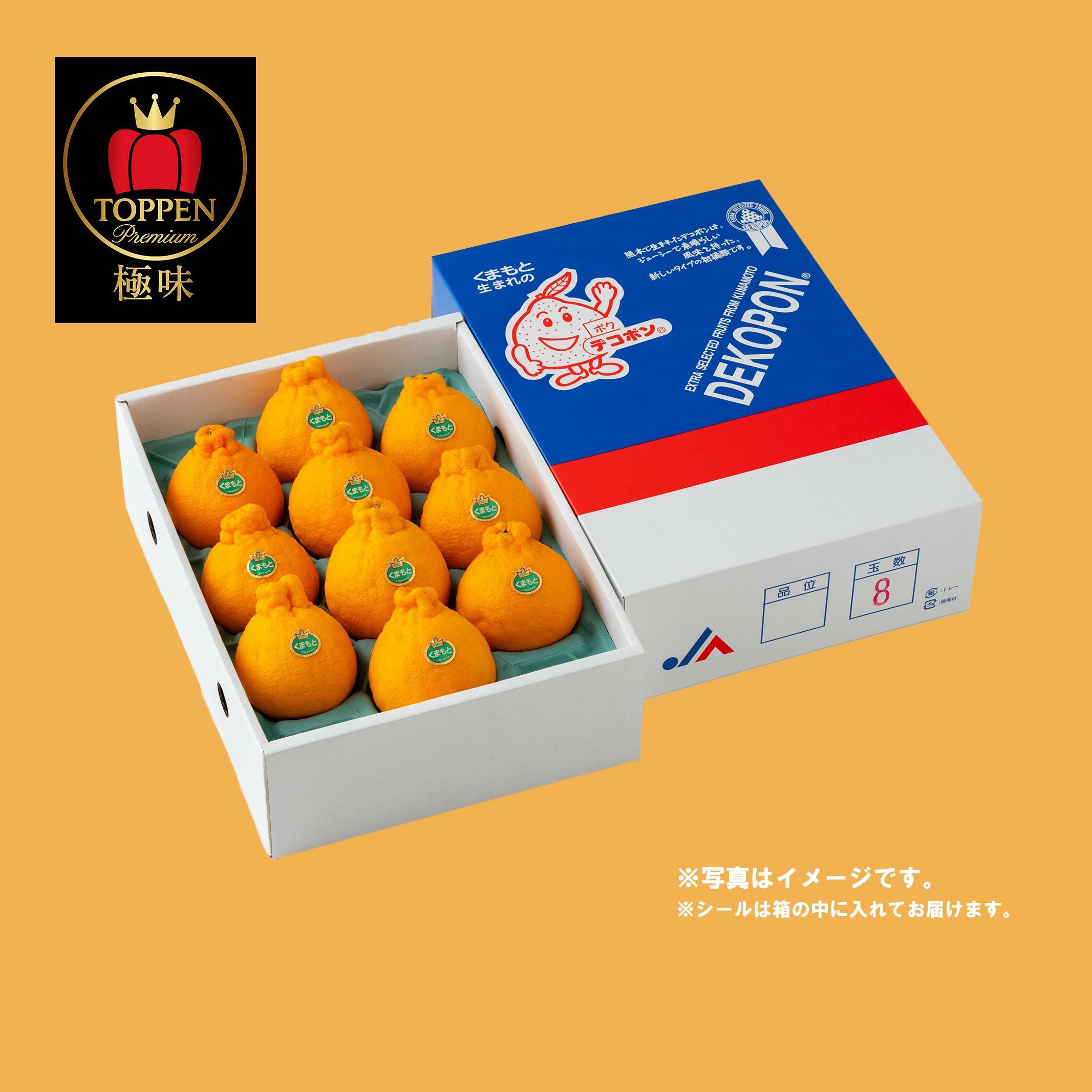 ≪極味ブランド≫熊本県産 完熟ハウスデコポン 約3kg（7～10玉前後