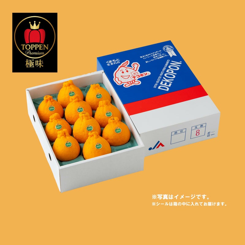 ≪極味ブランド≫熊本県産 完熟ハウスデコポン 約3kg（7～10玉前後 