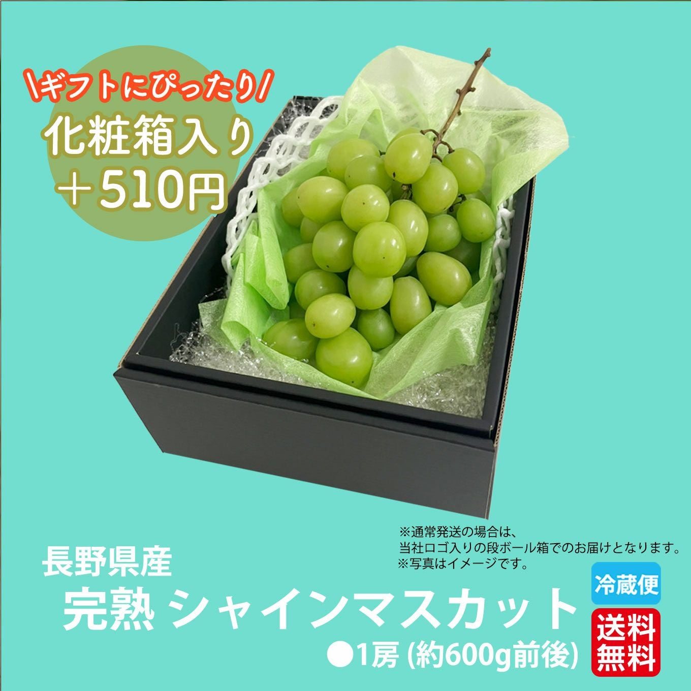 完熟 シャインマスカット 1房（600g前後） 【送料無料】 - とっぺん市場