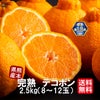 完熟 デコポン 約2.5kg（8～12玉）【送料無料】