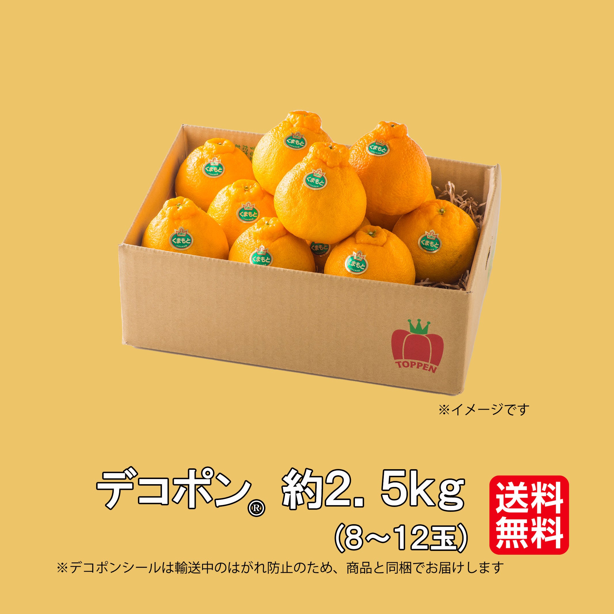 デコポン 約2.5kg（8～12玉）【送料無料】 - とっぺん市場