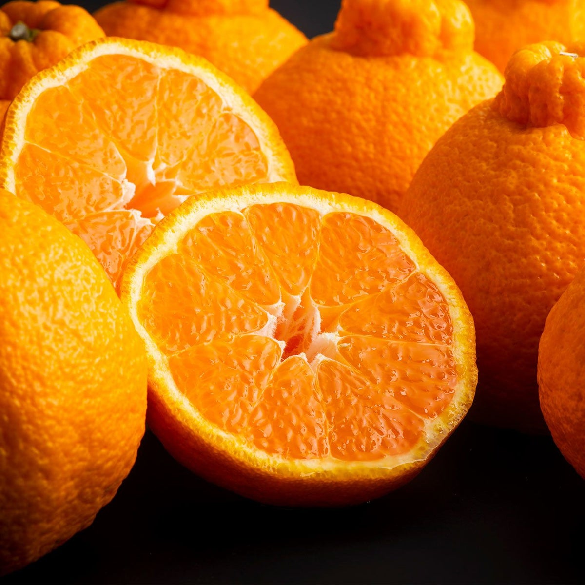 完熟 デコポン 約2.5kg（8～12玉）【送料無料】