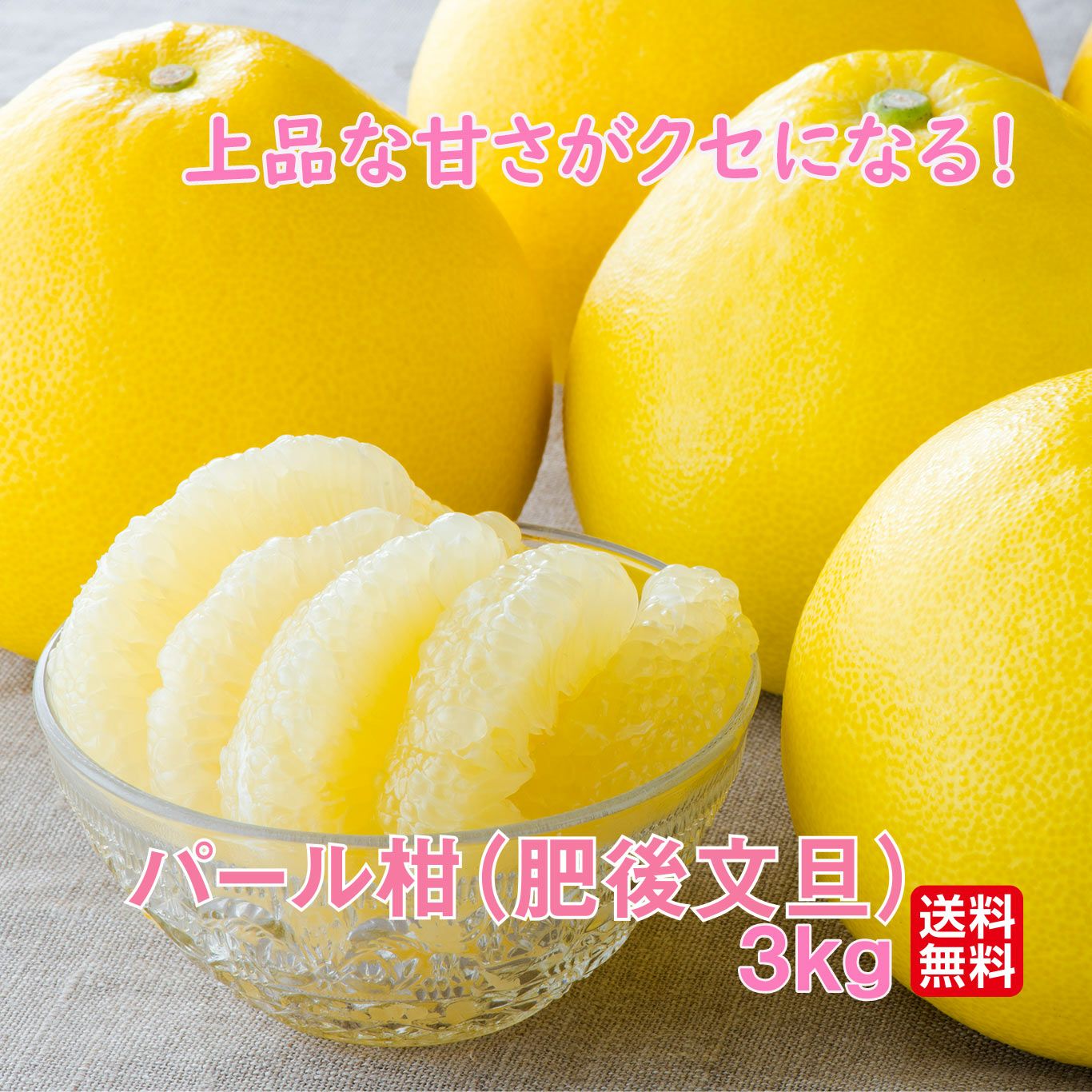 完熟 パール柑〔肥後文旦〕 約3kg（5～8玉）【送料無料】 - とっぺん市場