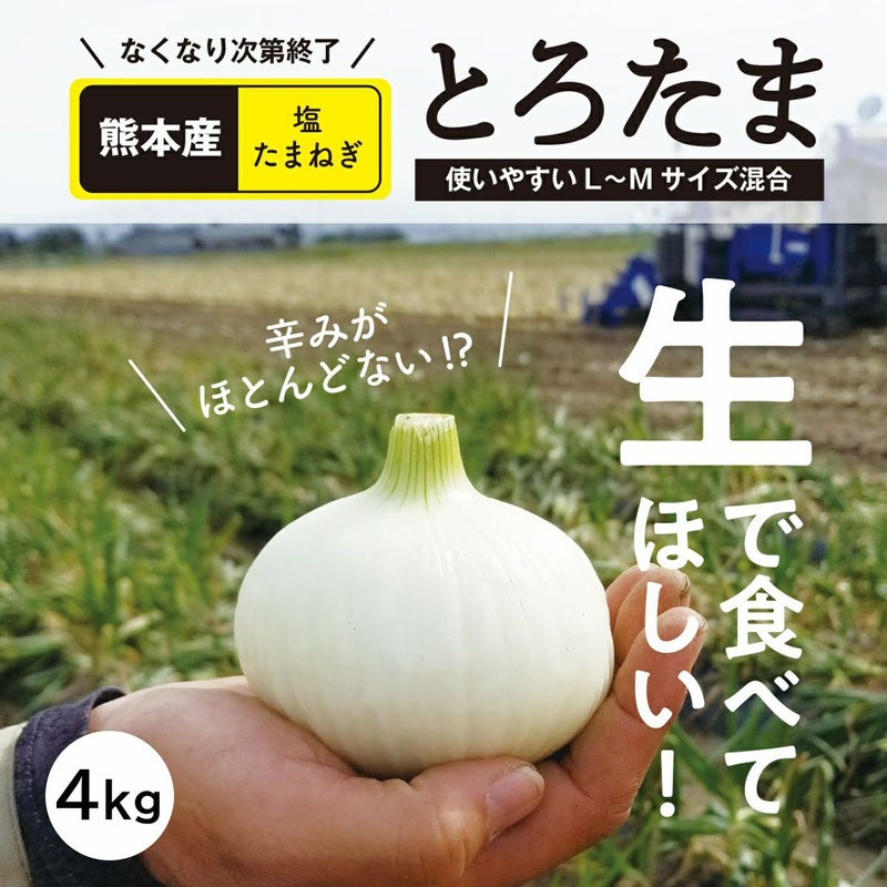 生でも火を通しても甘～い！ 熊本産 塩たまねぎ「とろたま」4kg（15玉前後）