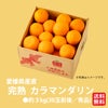 愛媛県産直！完熟カラマンダリン３ｋｇ（30玉前後／秀品）【送料無料】≪産地直送のため他の商品と同梱できません≫